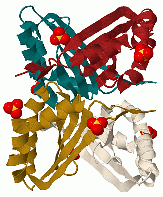 Image Biol.Unit 1 - manually