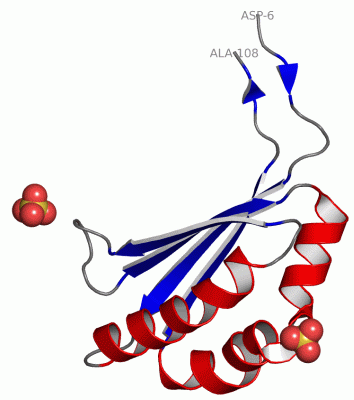 Image Asym.Unit - manually