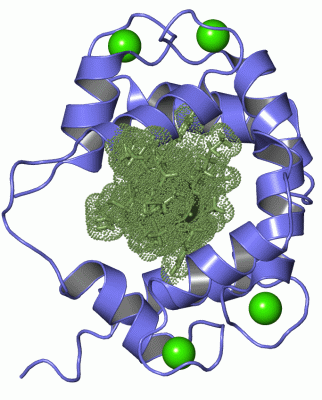 Image NMR Structure - manually