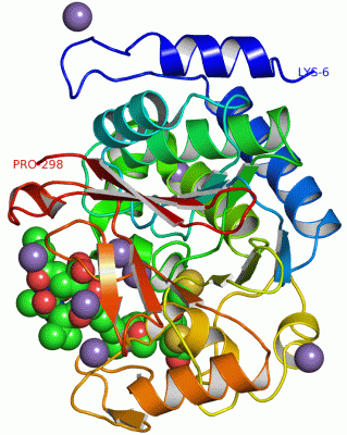 Image Asym./Biol. Unit - manually