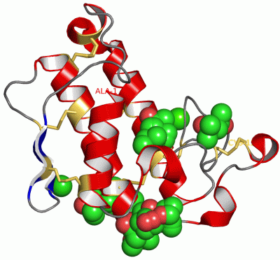 Image Asym./Biol. Unit - manually