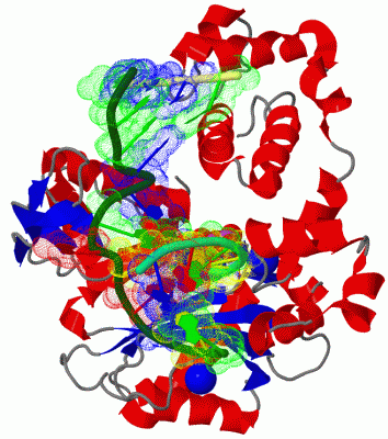 Image Asym./Biol. Unit - manually