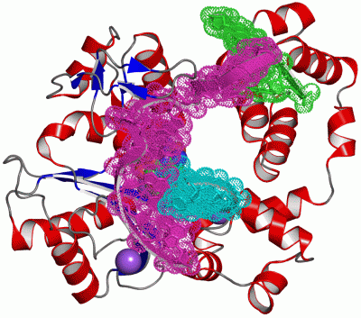 Image Asym./Biol. Unit - manually