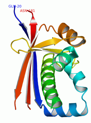 Image Asym.Unit - manually