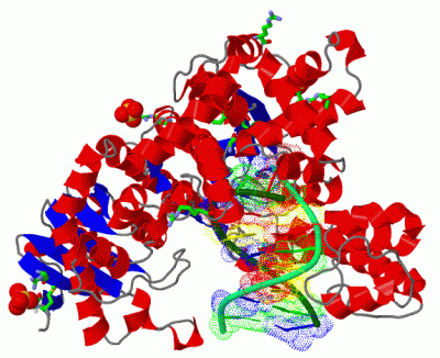 Image Asym./Biol. Unit - manually