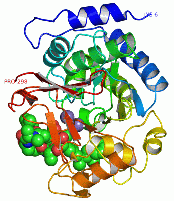 Image Asym./Biol. Unit - manually