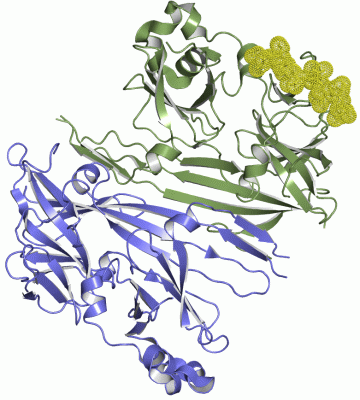 Image Asym./Biol. Unit - manually