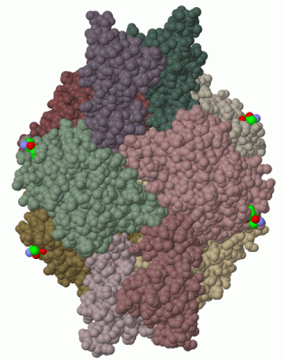 Image Biol.Unit 1 - manually