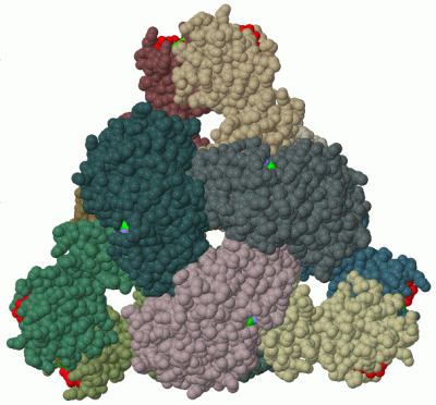 Image Biol.Unit 1 - manually