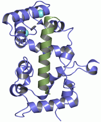 Image Asym./Biol. Unit - manually