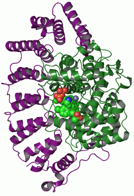 Image Asym./Biol. Unit - manually