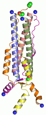 Image Asym.Unit - manually