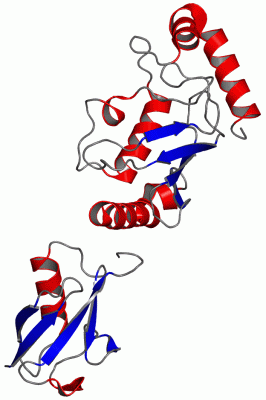 Image Asym./Biol. Unit - manually