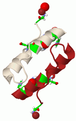 Image Biol.Unit 1 - manually