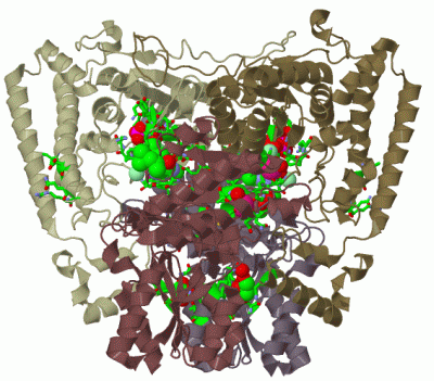 Image Biol.Unit 1 - manually