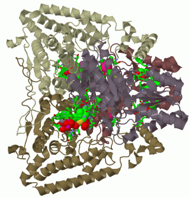 Image Biol.Unit 1 - manually