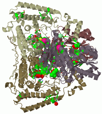 Image Biol.Unit 1 - manually