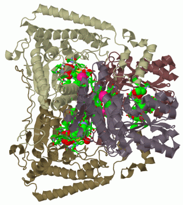 Image Biol.Unit 1 - manually