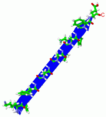 Image Asym./Biol. Unit - manually