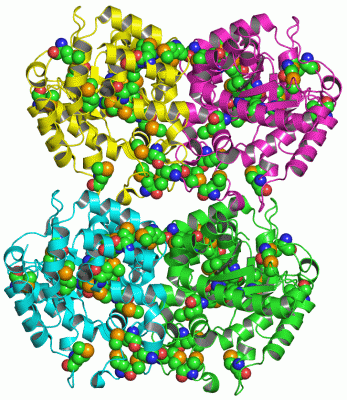 Image Asym.Unit - manually