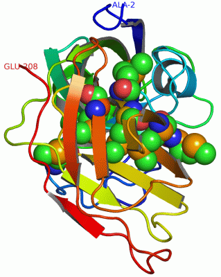 Image Asym./Biol. Unit - manually