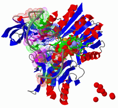 Image Biol.Unit 1 - manually