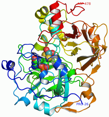 Image Asym.Unit - manually