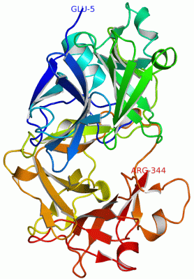 Image Asym./Biol. Unit - manually