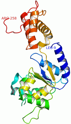 Image Asym./Biol. Unit - manually