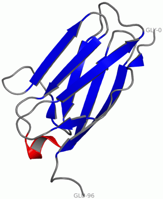 Image Asym./Biol. Unit - manually