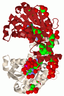 Image Biol.Unit 1 - manually