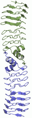 Image Asym./Biol. Unit - manually