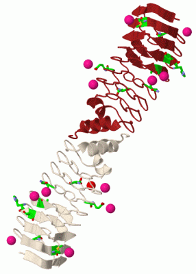 Image Biol.Unit 1 - manually