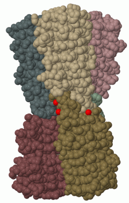 Image Biol.Unit 1 - manually