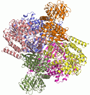 Image Asym./Biol. Unit - manually