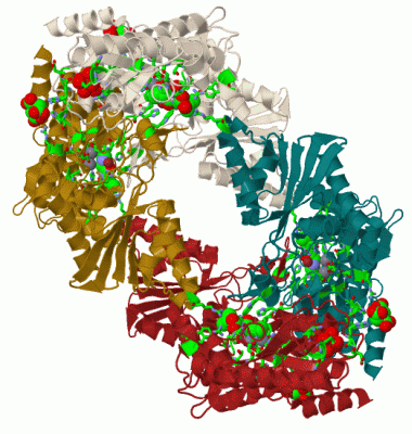 Image Biol.Unit 1 - manually