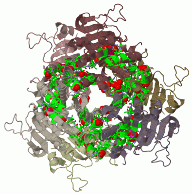 Image Biol.Unit 1 - manually