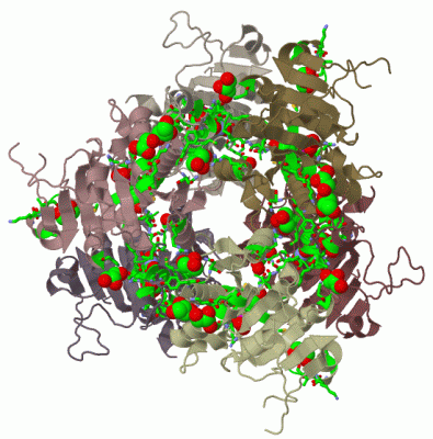 Image Biol.Unit 1 - manually