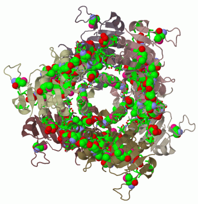 Image Biol.Unit 1 - manually