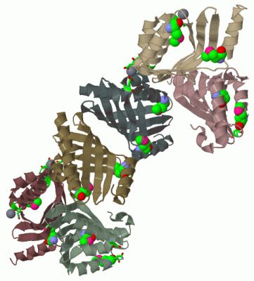 Image Biol.Unit 1 - manually
