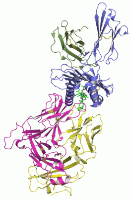 Image Asym./Biol. Unit - manually