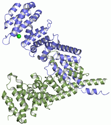 Image Asym./Biol. Unit - manually