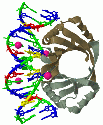 Image Biol.Unit 1 - manually