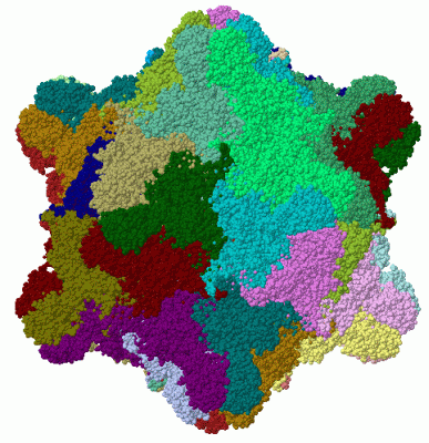 Image Biol.Unit 1 - manually