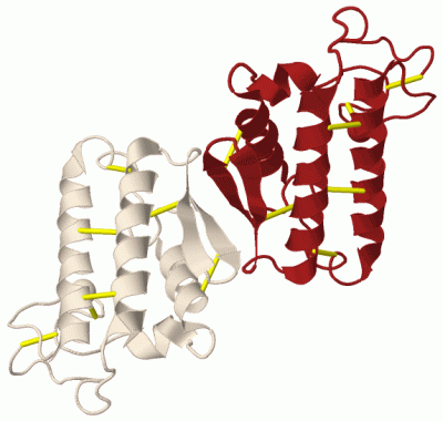 Image Biol.Unit 1 - manually