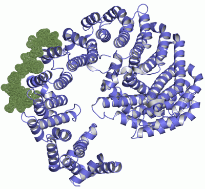 Image Asym./Biol. Unit - manually