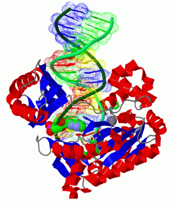 Image Asym./Biol. Unit - manually