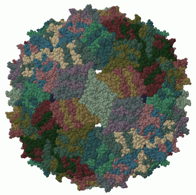 Image Biol.Unit 1 - manually