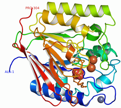 Image Asym./Biol. Unit - manually