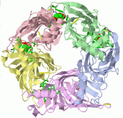 Image Asym./Biol. Unit - manually